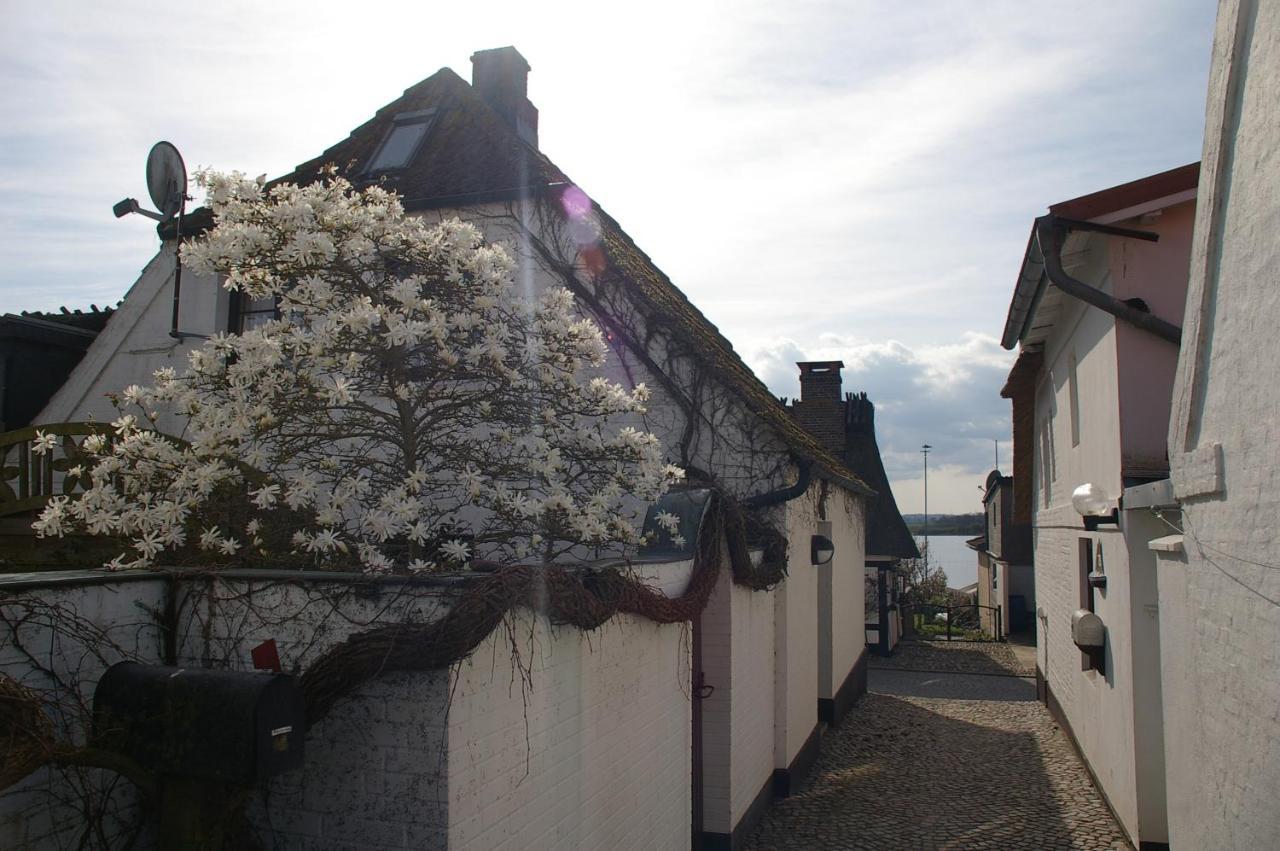 Altes Fischerhaus 马斯霍尔姆 外观 照片